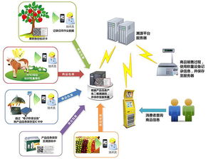 物聯網技術賦能產業升級 防偽、食品安全與新材料研發的革新應用