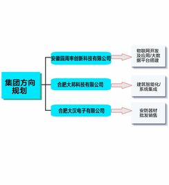創新引領未來 XX公司新材料技術研發實力全覽